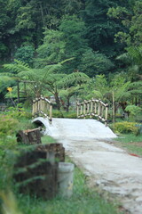 bridge over the river