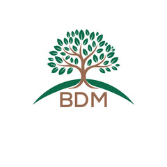 Obraz premium Initial BDM Letter Linked Logo for business and company identity. Modern BDM Letter Logo Vector Template with modern trendy golden logo. 