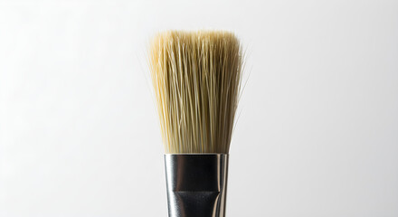 paint brush on white background