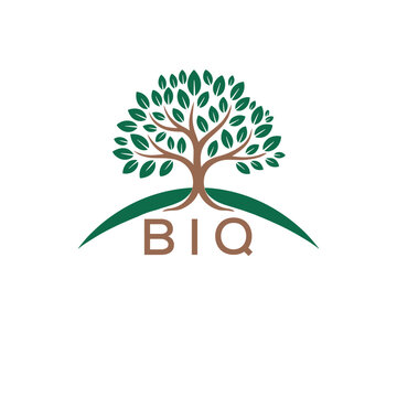 Initial BIQ Letter Linked Logo for business and company identity. Modern BIQ Letter Logo Vector Template with modern trendy golden logo.
