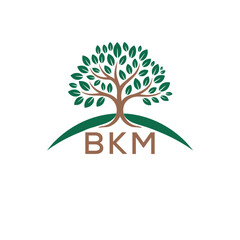 Initial BKM Letter Linked Logo for business and company identity. Modern BKM Letter Logo Vector Template with modern trendy golden logo.
