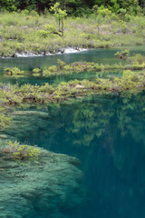 jiuzhaigou, China: The clear water of the Mirror lake in the Jiuzhaigou scenic area in the mountain of Sichuan in China