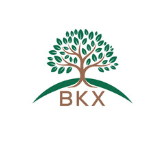 Initial BKX Letter Linked Logo for business and company identity. Modern BKX Letter Logo Vector Template with modern trendy golden logo.
