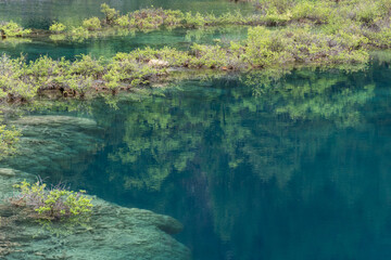 jiuzhaigou, China: The clear water of the Mirror lake in the Jiuzhaigou scenic area in the mountain of Sichuan in China