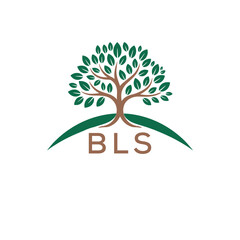 Obraz premium Initial BLS Letter Linked Logo for business and company identity. Modern BLS Letter Logo Vector Template with modern trendy golden logo. 