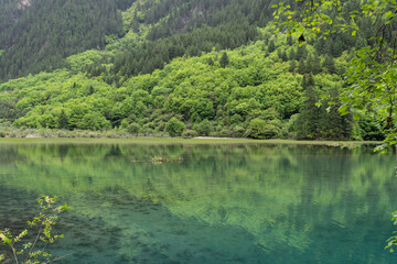 Jiuzhaigou, China: Reflection of the ancient forest in the clear water of the Mirror lake in the Jiuzhaigou scenic area in the mountain of Sichuan in Southwest China