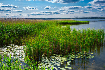 Jezioro Charzykowskie