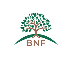 Initial BNF Letter Linked Logo for business and company identity. Modern BNF Letter Logo Vector Template with modern trendy golden logo.
