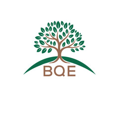 Obraz premium Initial BQE Letter Linked Logo for business and company identity. Modern BQE Letter Logo Vector Template with modern trendy golden logo. 