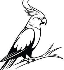 Elegant black and white cockatoo illustration perched on a branch