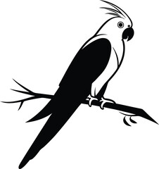 A black and white cockatiel perched on a branch