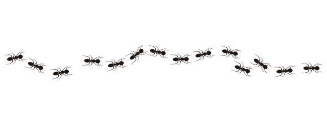 アリの行列のイラスト