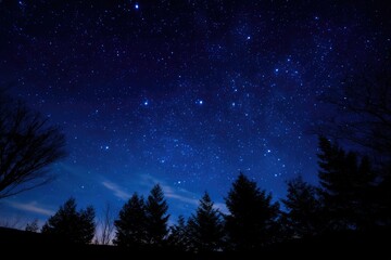 A nighttime landscape featuring a dark, star-filled sky above a silhouetted line of trees