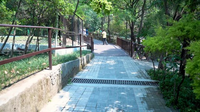  Cleaning the Zoo Path
