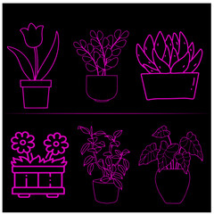 Flower   Vector Set 16