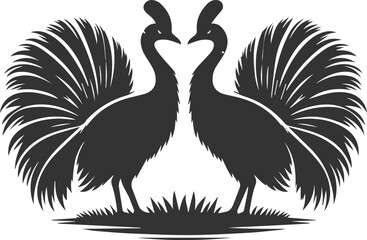Cassowary vector drawing bird animal silhouette illustration