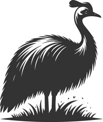 Cassowary vector drawing bird animal silhouette illustration