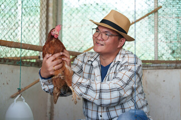 Farmers raising chickens on farms for sale on the world market