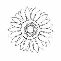 Line drawing of a sunflower.