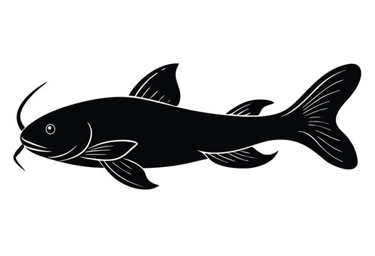 Catfish silhouette vector illustration simple catfish outline icon Illustration.