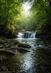 Obraz premium Flowing River Through Lush Green Forest with Sunlight and Rapids
