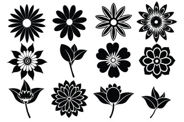 Elegant Black and White Flower Illustrations A Collection of Floral Designs