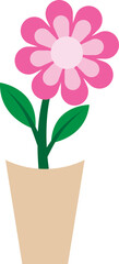 Illustration of a Pink Flowers on Pot