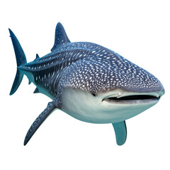 Great white and blue sharks are isolated on white, swimming underwater as marine predators