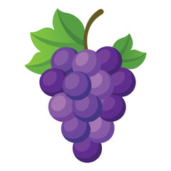 Grape fruits with leaf icon vector illustrtion