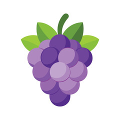 Grape fruits with leaf icon vector illustrtion