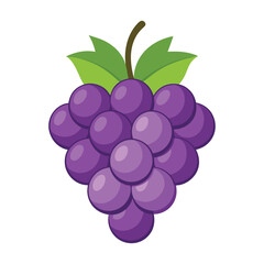 Grape fruits with leaf icon vector illustrtion