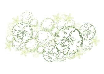 architecture drawing plant tree top view plan greenery vegetation vector. design nature architectural landscape set element illustration bush garden flora sapling minimal. architect isolated.