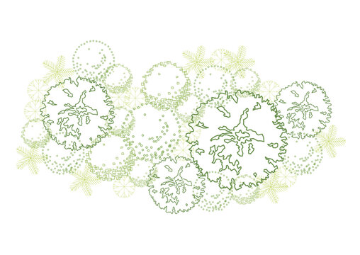 architecture drawing plant tree top view plan greenery vegetation vector. design nature architectural landscape set element illustration bush garden flora sapling minimal. architect isolated.