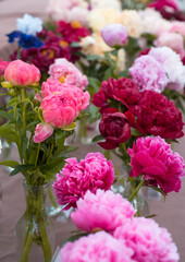 Beautiful bouquet of peonies in a vase
