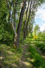 Wanderung um den Tschelentsy bei Dretschen in der Oberlausitz 2