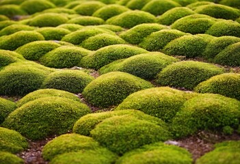 Vibrant Mossy Terrain: A close-up view showcases a sprawling terrain carpeted in a dense, vibrant green moss, offering a captivating glimpse into nature's artistry. Ai generated image