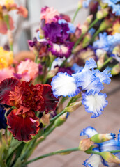 A bouquet of multi-colored irises