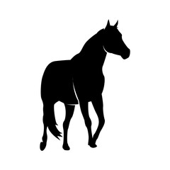 Black silhouette of horse animal. animal symbol