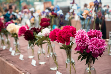 Exhibition of peonies of different varieties