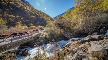 the river flows in a mountain gorge.