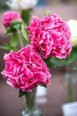Beautiful bouquet of peonies in a vase