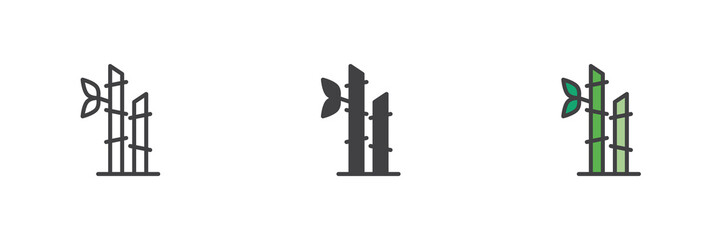 Bamboo plant icon set in line, solid and filled outline style