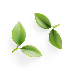 3D Three Green Leaves Isolated on White on a Transparent Background