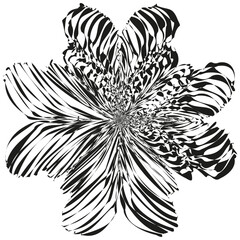 Abstract flower shape. Petal rotation symbol. Geometric bloom design. Vector symmetry.