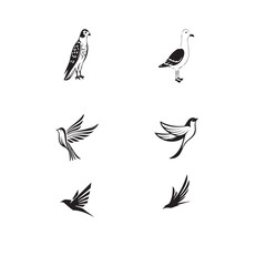 Black and white Birds Vector Set 