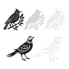 Skylark bird set icon clipart illustration drawing line art