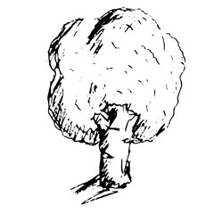 black sketch illustration of vegetables