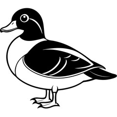 Minimalist Wood Duck Line Illustration