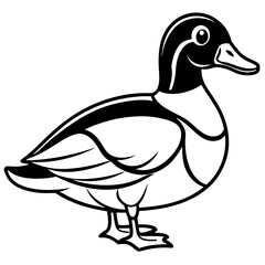 Minimalist Wood Duck Line Illustration
