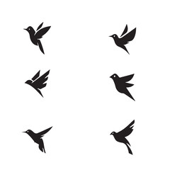 Black and white Cute Birds Set